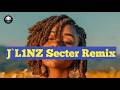 Money Me A Look[J`L1NZ Secter🇸🇧Remix](2026)ETT