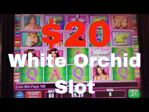 INTRODEUCE & WOW: The Vegas Spectacular!