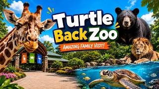 Turtle Back Zoo Full Tour | Lions, Giraffes, Penguins & More!  Amazing Animals | New Jersey |