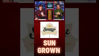 Sycamore Brewing BEER REVIEW🍻: Sun Grown Lager☀️☀️ #beer #beerreview