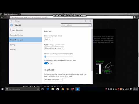 Windows 10 - Palm Check Fix (Fix - Why wont my mouse move while I type - Windows 10)