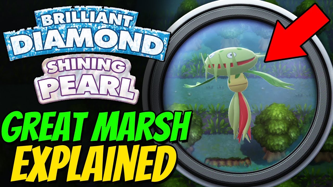 safari zone pokemon brilliant diamond