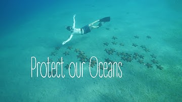 OECS ReMLIT Project update: Learn our oceans PSA