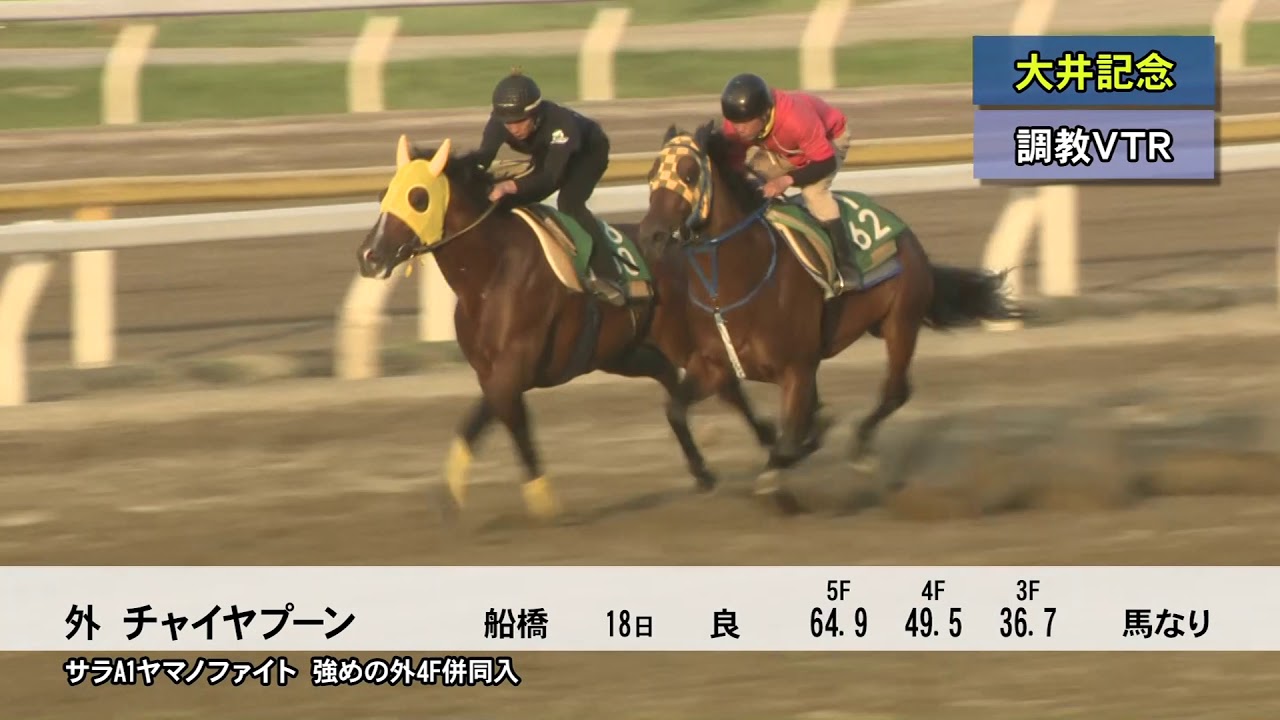 競馬動画大根おろし