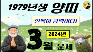2024년 3월운세 [1979년생] 인맥이 금맥이다! #3월운세 #1979년생운세 #양띠운세 #이달의운세