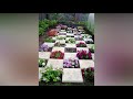 Garden Idea Make Your Home Beautiful