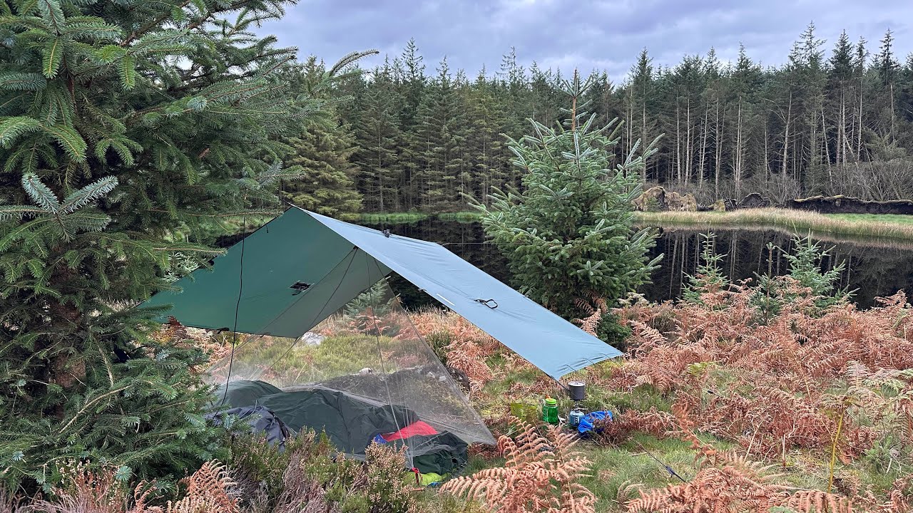 Tarp and Bivy in a Northumberland Forest, Ends in catastrophe,