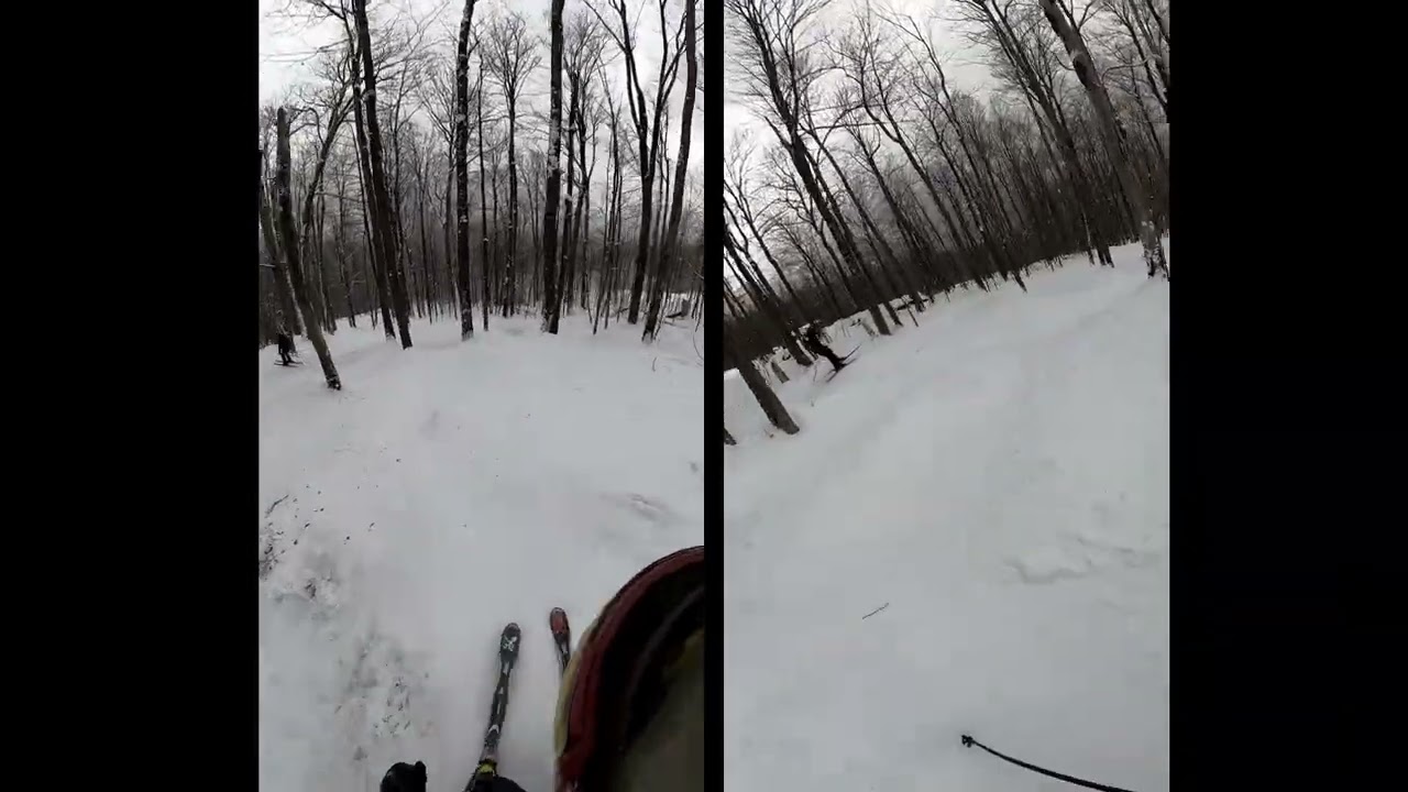 Gore Tom Z in the trees