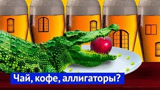 Новый Орлеан: как американцы сохраняют свою историю