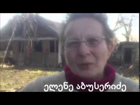 ხიდისთავში ელენე აბუსერიძე სახურავს ითხოვს