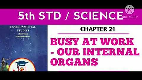 Std : 5.Sub: E.V.S 1.Ls.no.21.Busy at Work - Our Internal Organs.