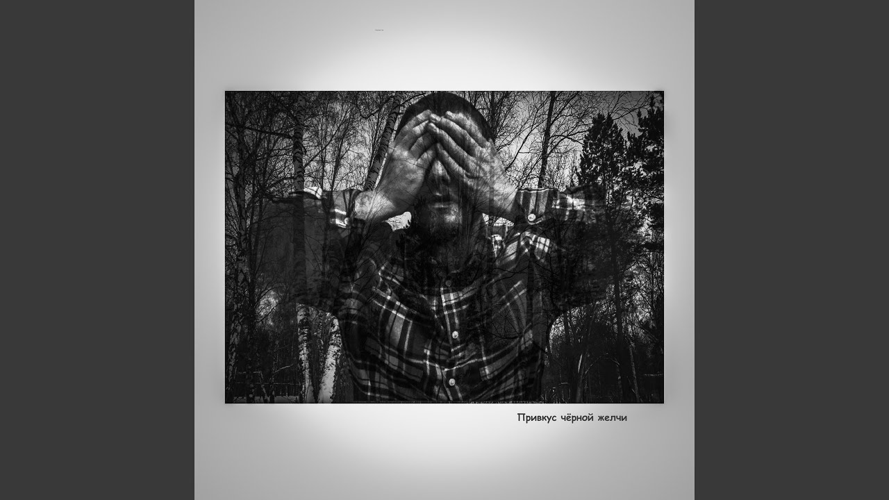 Флибустьер