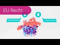 EU-Recht in 3 Minuten erklärt