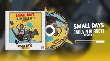 Small Days | Carlvin Burnett | (SMALL DAYS RIDDIM) Official Visualizer