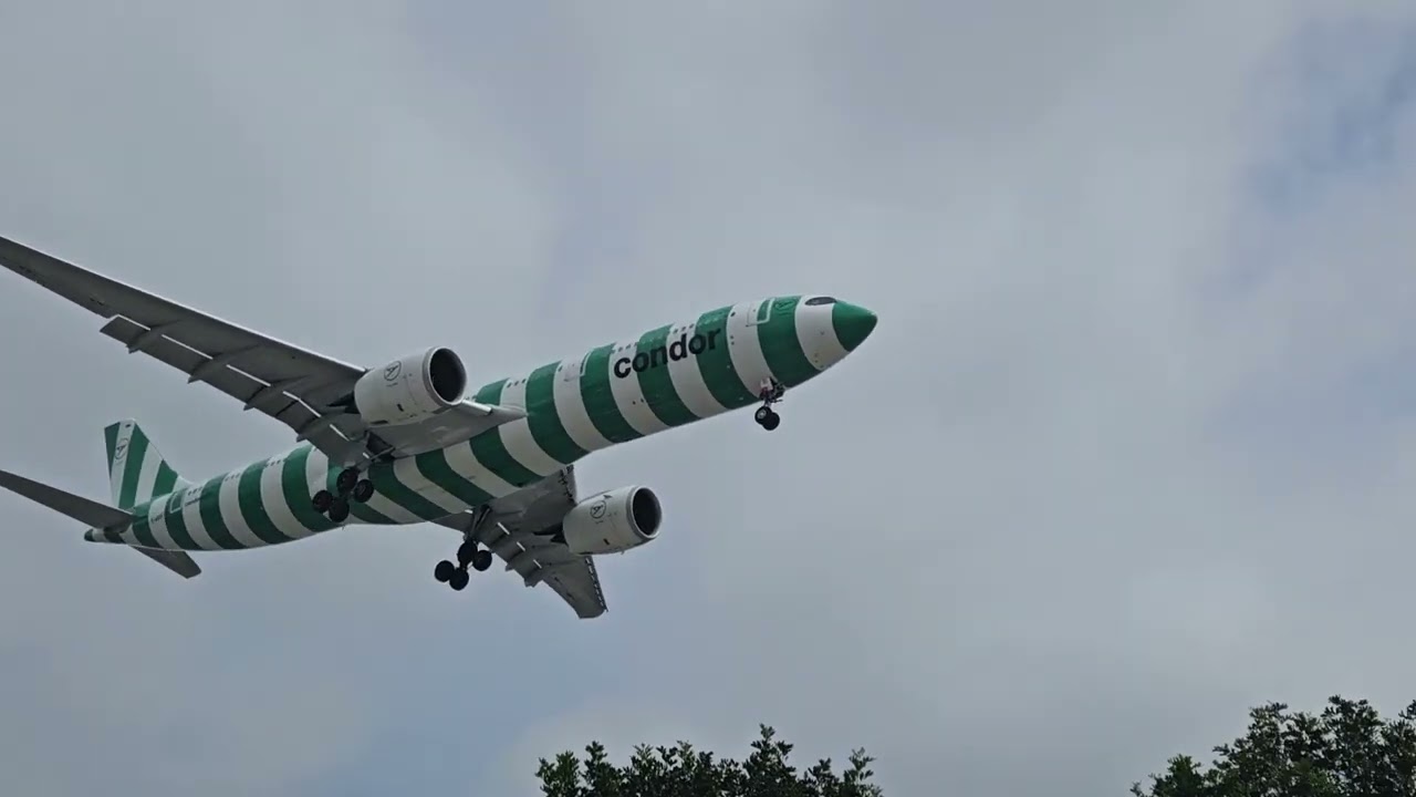 Condor A330 green island livery