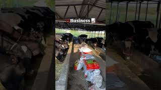 डेयरी से रोज़ ₹5000+ कमाई! 💰#dairyfarm #business #agriculture #farm #money #milk #aryankelvin