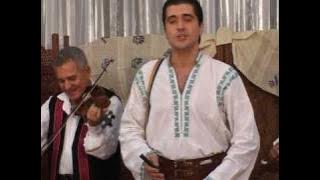 Gelu Voicu - Ce frumoasa este viata