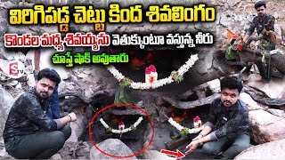 కొండల మధ్య శివయ్యకు నిత్యం నీరు | ST Mary's College Mysterious Shivalingam Under the Tree