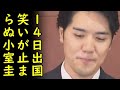 小室夫妻11月14日出国、日本でワクチン2回接種済な模様、ニューヨークで新生活スタート【カッパえんちょー】