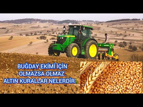 Video: Banka kartları nedir ve birbirlerinden nasıl farklıdırlar?