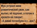 Для чего муж устроил жене романтический ужин и подпоил её... Сборник анекдотов!