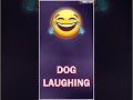 dog laughing sound  || Funny dog laughing video #memes @totalsoundeffect