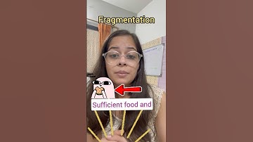 🌱 Fragmentation: A Simple Reproduction Method | Class 7 Science NCERT