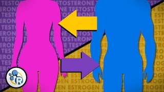 Hormones and Gender Transition screenshot 1