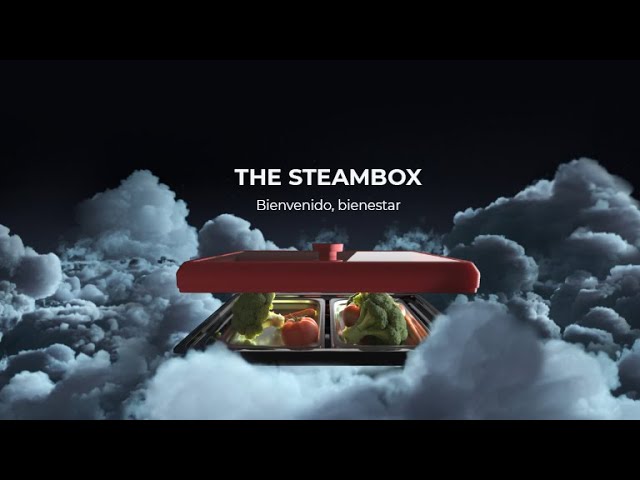 Comprar Bandeja Steambox, cocina al Vapor en el Horno