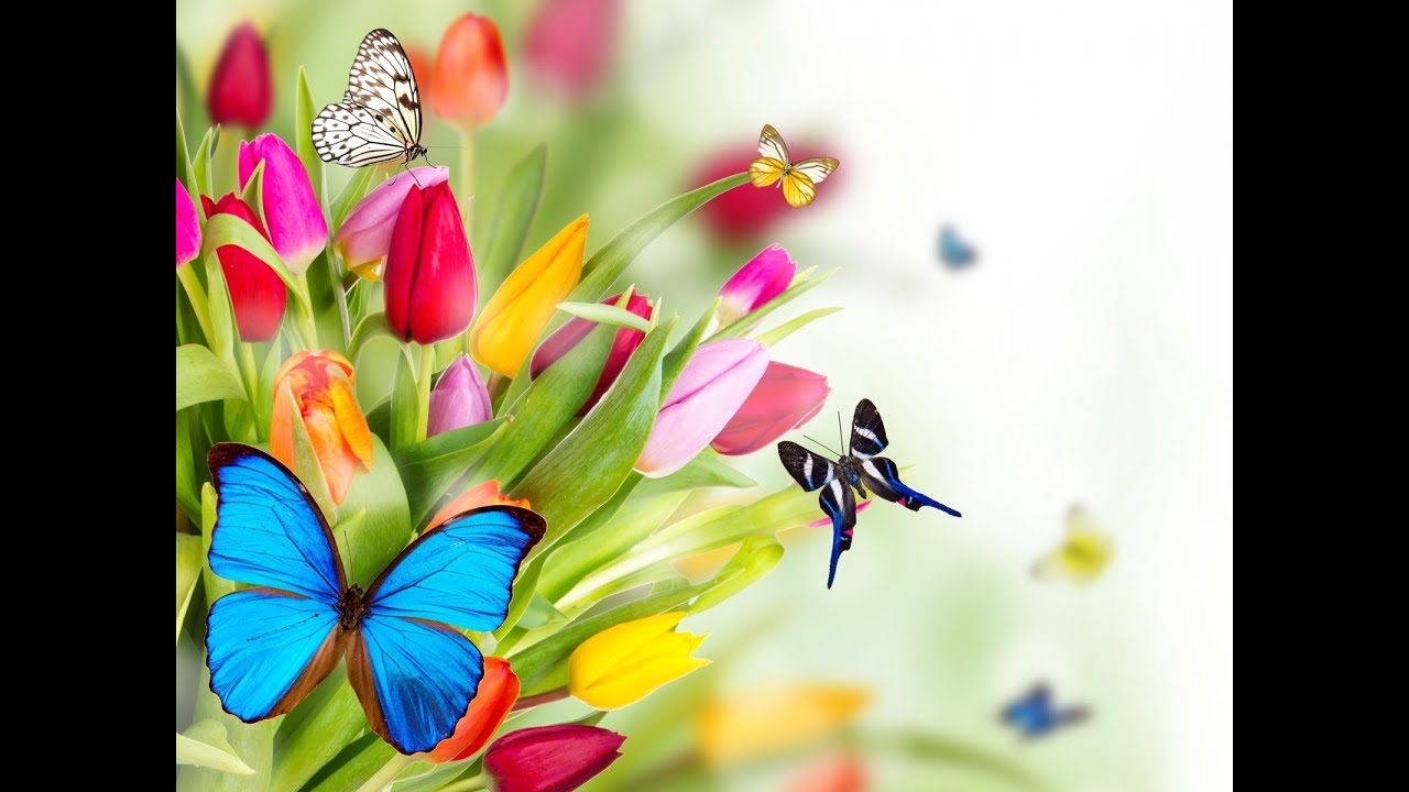 Siluvai Naadhar Yesuvin Tamil Christian Song Mouth Organ Instrumental YouTube