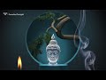 Enlightenment music 2  relaxing music for meditation yoga sleep study