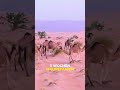 Bist du bei den nächsten Monaten auch dabei?! 🙌🌍