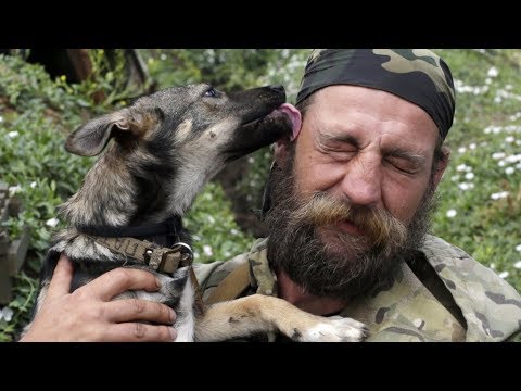 Video: Kodėl mano šuo laikosi vienoje vietoje?