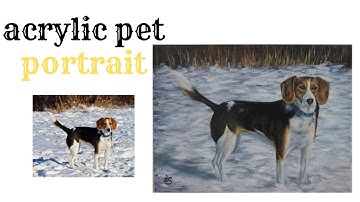 how to paint beagle use acrylic painting pet portrait time lapse