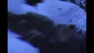 True Necro Black Metal Band- NEKROODIN