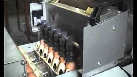 Egg coding EggFlex HeDiPack on Mopack 55 farmpacker