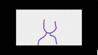 (Test) Head Bob-Animation