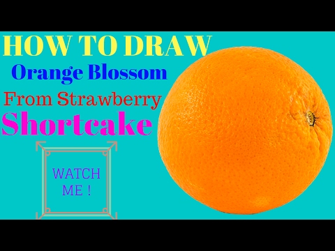 how-to-draw-orange-blossom-from-strawberry-shortcake|-how-to-draw-orange-fruits