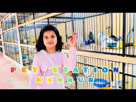 PET STATION KANNUR | Great Entertainment | A Day Trip by sHunkus vLog