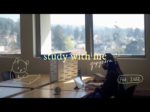 study with me uc berkeley 🌸 | 25/5 pomodoro timer | chill studio vibes & lofi 🎧