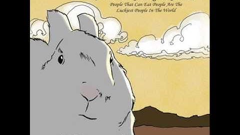 A Song Dedicated To The Memory of Stormy The Rabbit, Andrew Jackson Jihad.