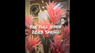 Kirklands *2023* Spring Home Decor Shop With Me #kirkland #shopwithme #decor