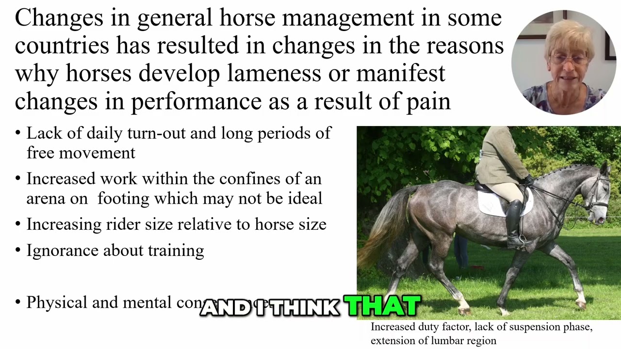 Equine Training Problems Caused by Rider-Horse Mismatch