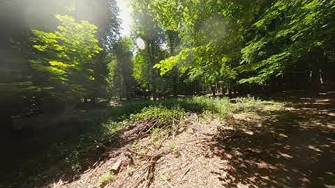 Malé karpaty / Forest walking cinewhoop fpv drone