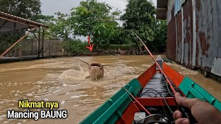 VERY HARDCORE!! FISHING WITH BAUNG BAIT WHEN THE WATER IS RISING QUICKLY