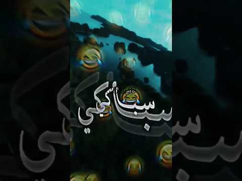 صحاب الكيتمان آلو عمري وين راكي سبيك سبيك سباكي