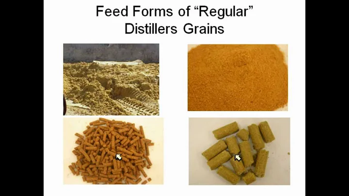 Byproduct Feeding with Dr. Galen Erickson (video 1...