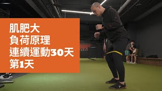 負荷、訓練強度原理| 肌肥大理論| 連續運動30天 | 第1天 | Willis 