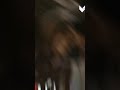 انت مالكني ومالك امري انت مالكني ومالك امري