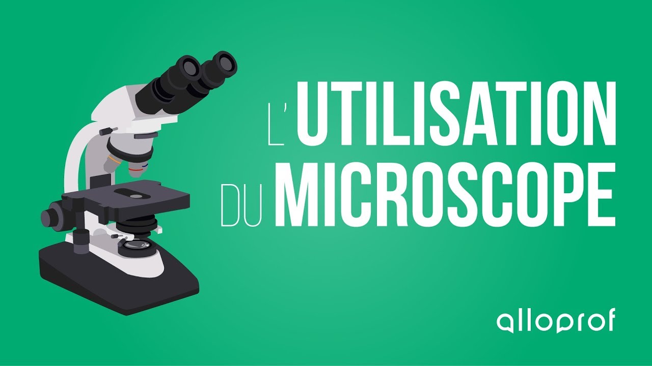 Principe du microscope électronique